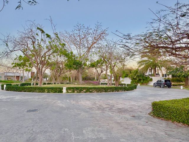 place photo 19
