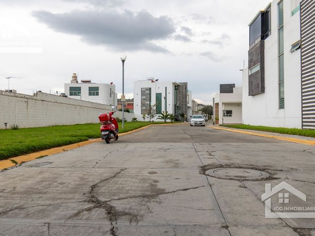 place photo 44