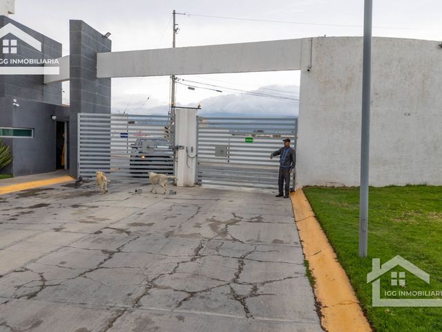 place photo 46
