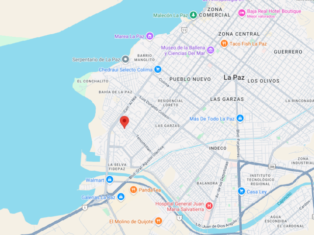 place photo 6