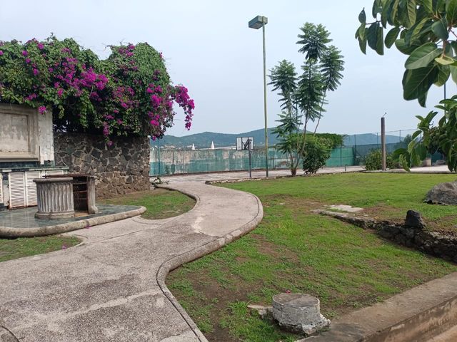 place photo 17
