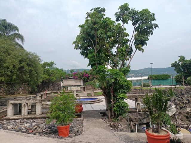 place photo 18