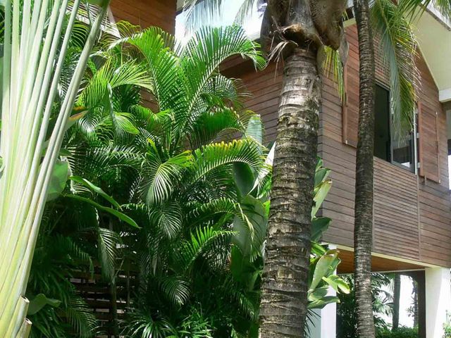 place photo 45