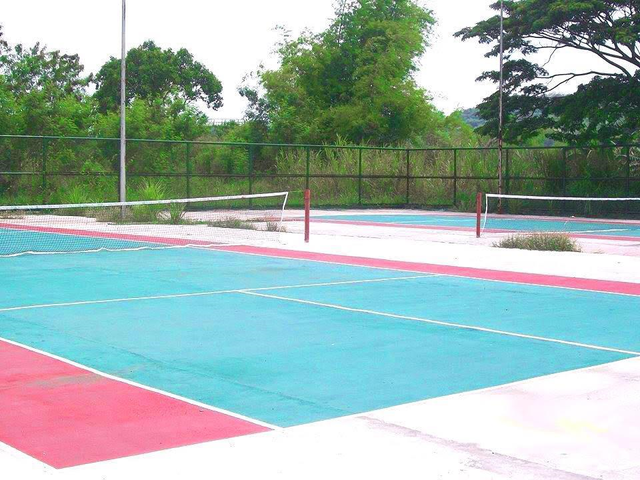 place photo 12