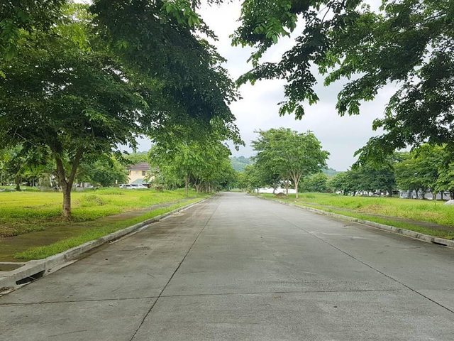 place photo 14