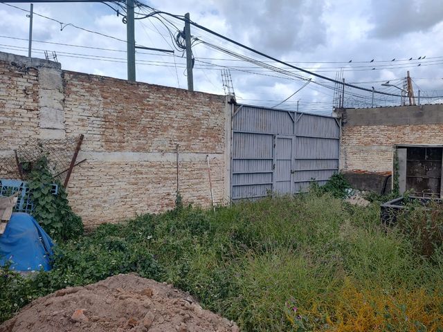 place photo 14