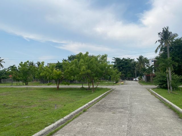 place photo 15
