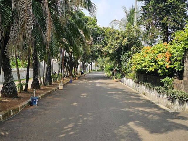 place photo 27