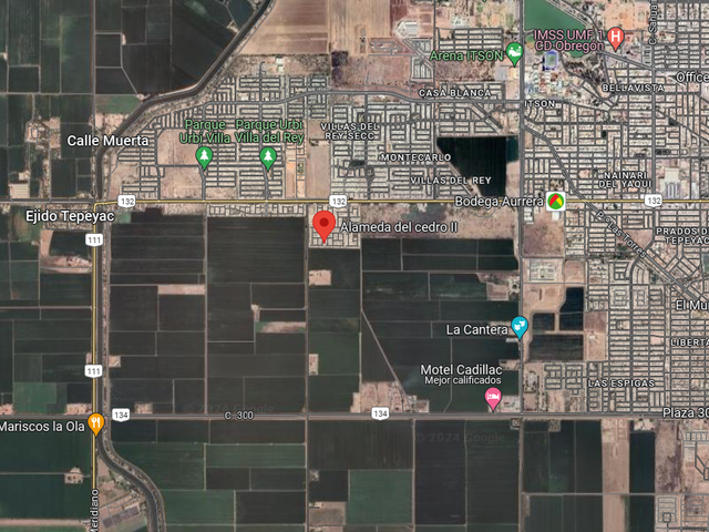 place photo 17