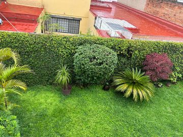 place photo 14