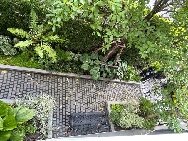 place photo 42