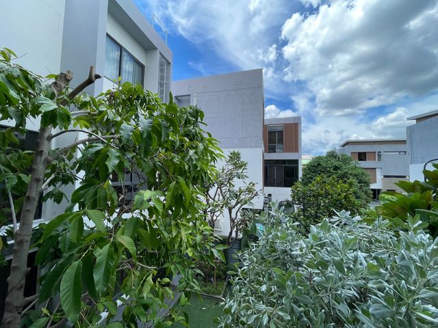 place photo 43