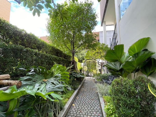 place photo 70