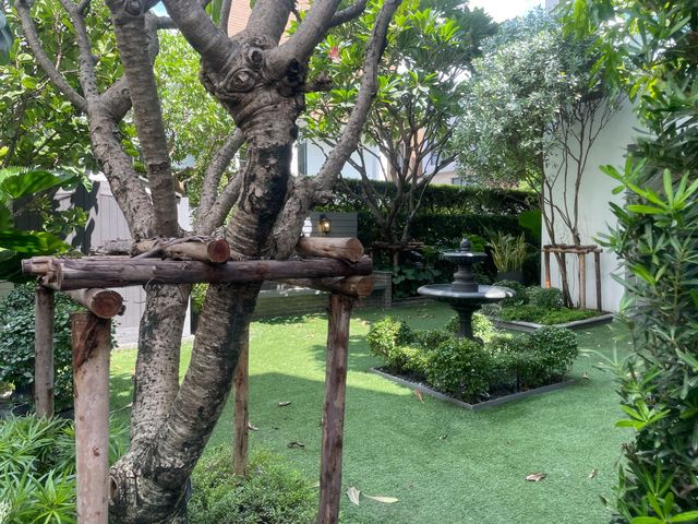 place photo 77