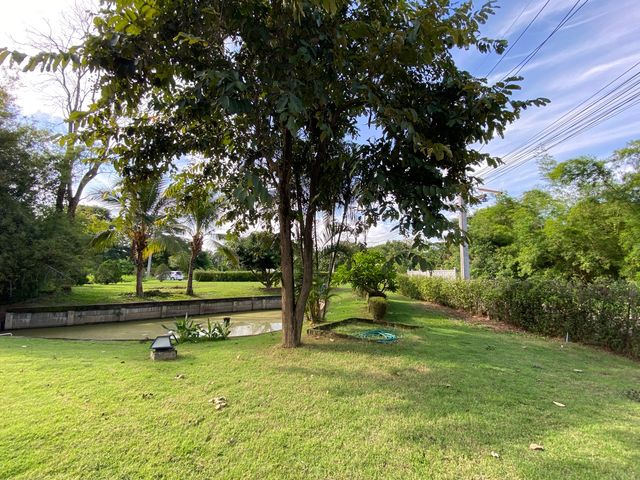 place photo 54