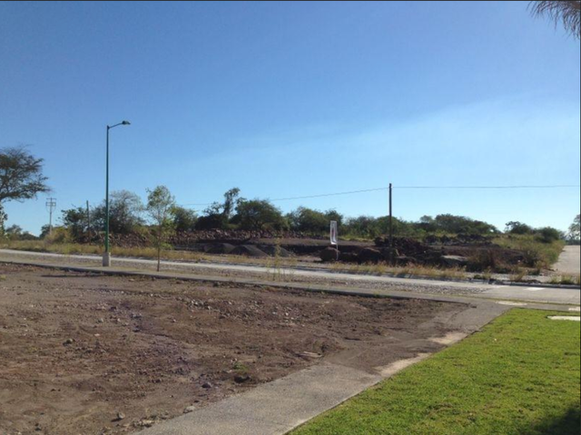 place photo 7