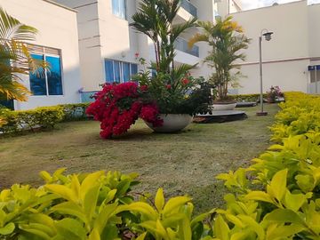 place photo 22