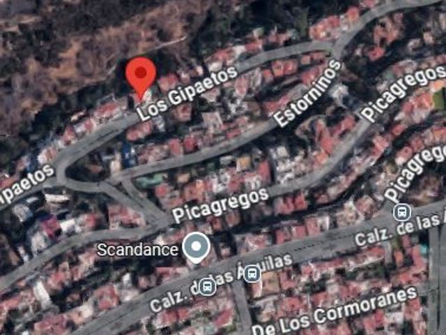 place photo 6