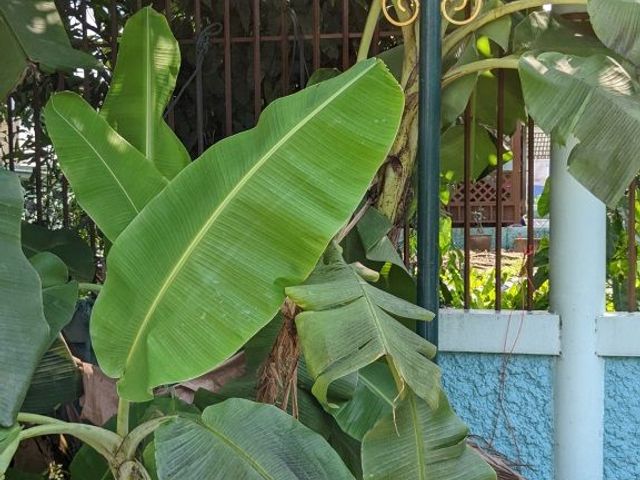 place photo 50