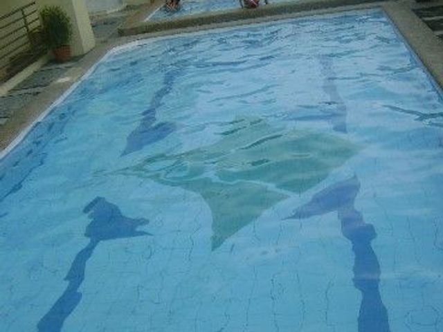 place photo 67