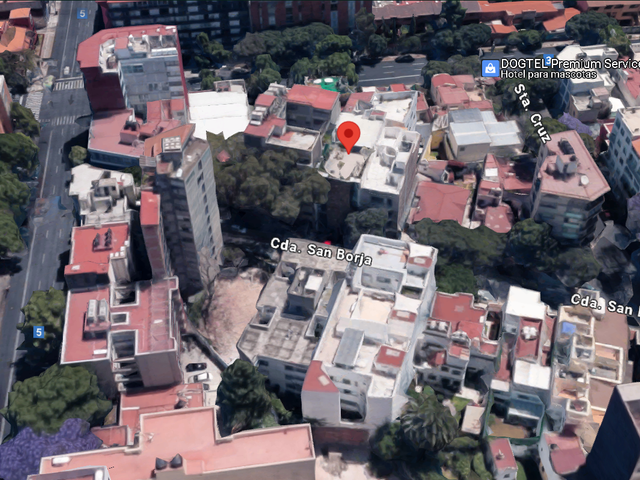 place photo 11