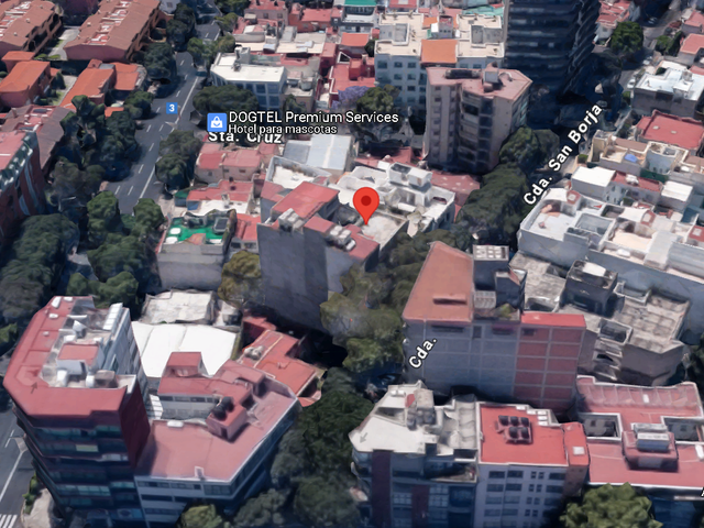 place photo 12
