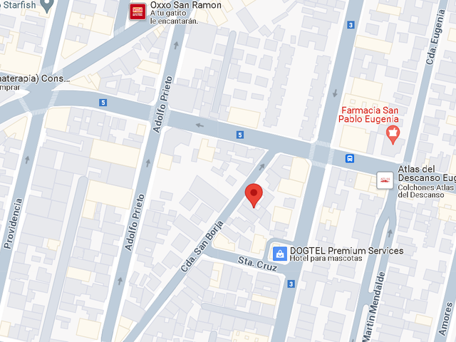 place photo 13