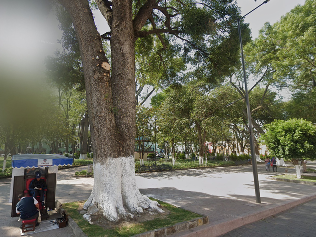 place photo 3