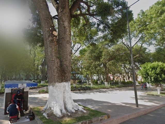 place photo 10