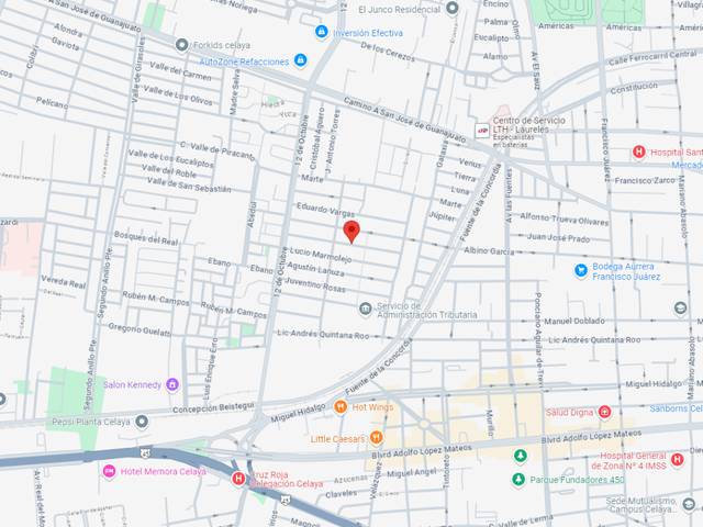place photo 11