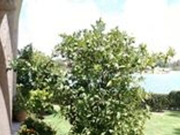 place photo 43