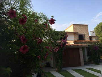 place photo 48