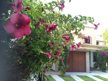 place photo 49