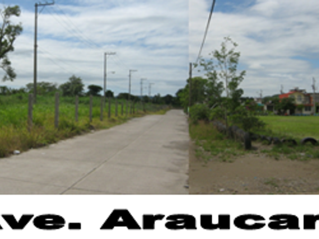 place photo 15