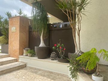 place photo 43