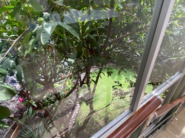place photo 50