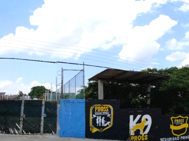 place photo 16
