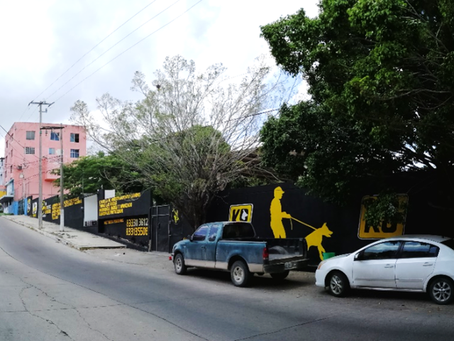 place photo 17