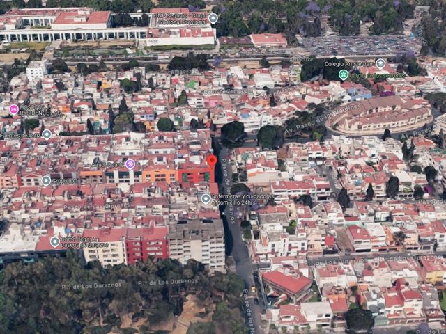 place photo 13