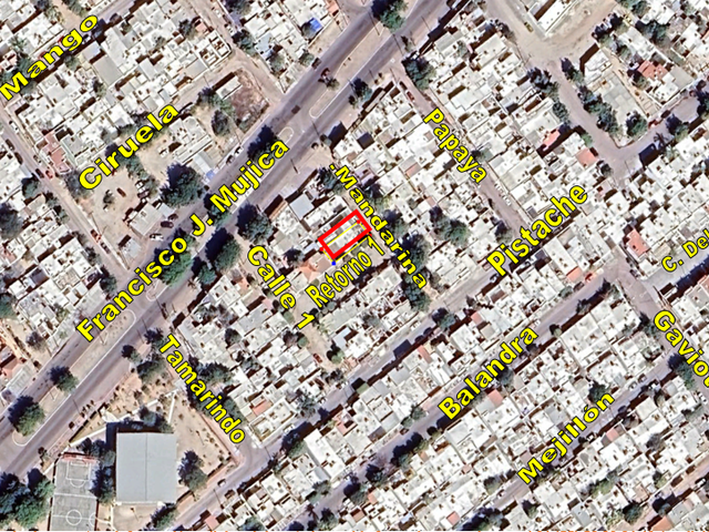 place photo 4