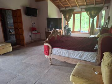 place photo 46
