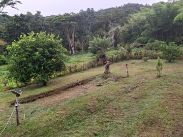 place photo 47