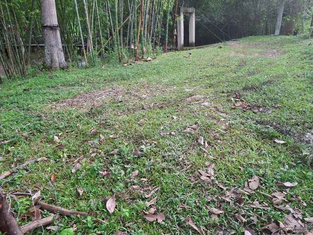place photo 51