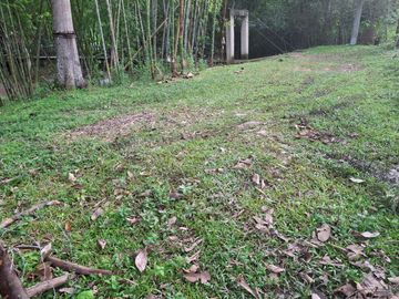 place photo 51