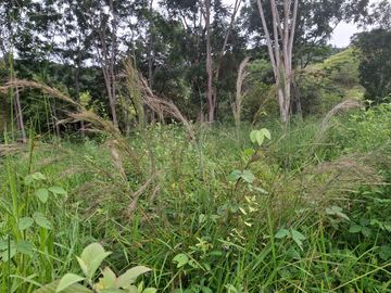 place photo 53