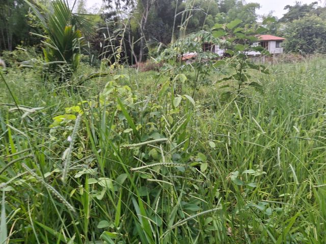 place photo 54