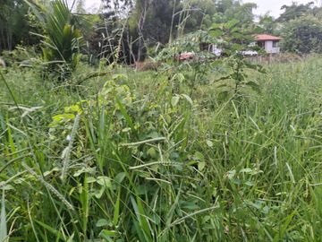 place photo 54