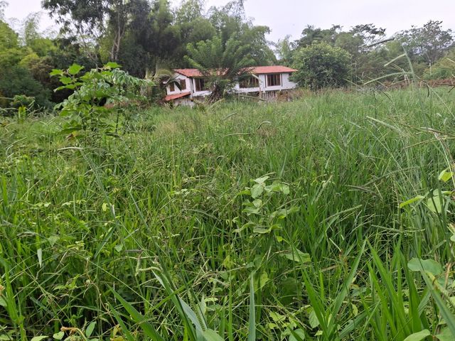 place photo 56