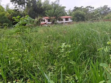 place photo 56