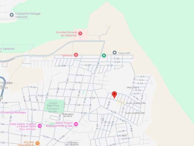 place photo 12